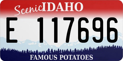 ID license plate E117696