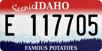 ID license plate E117705