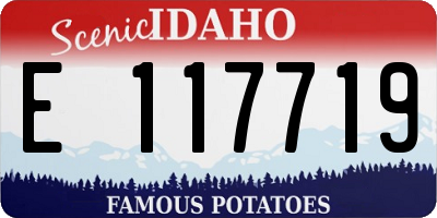 ID license plate E117719