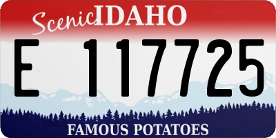ID license plate E117725