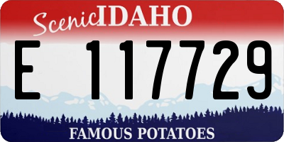 ID license plate E117729