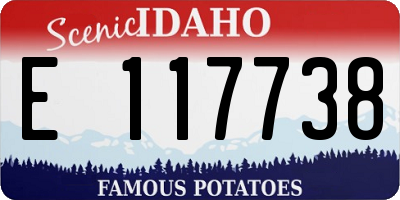ID license plate E117738