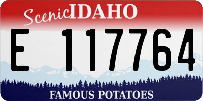 ID license plate E117764