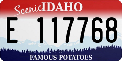ID license plate E117768