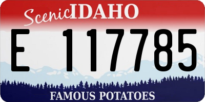 ID license plate E117785