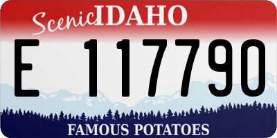 ID license plate E117790