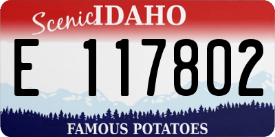 ID license plate E117802