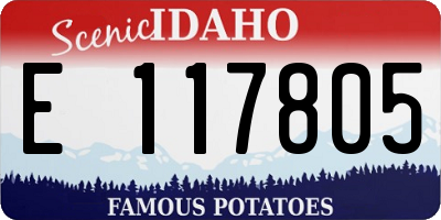 ID license plate E117805