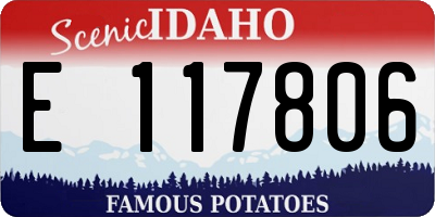 ID license plate E117806