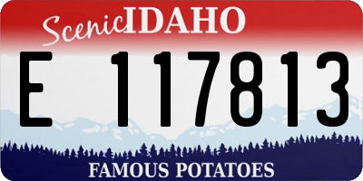 ID license plate E117813