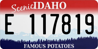 ID license plate E117819