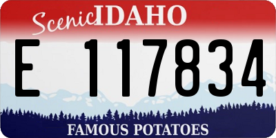 ID license plate E117834