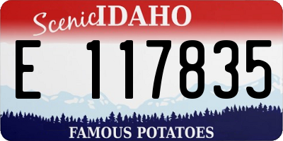 ID license plate E117835