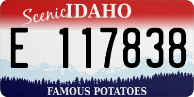 ID license plate E117838
