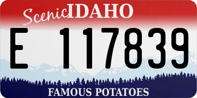 ID license plate E117839