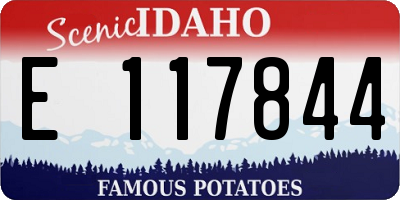ID license plate E117844