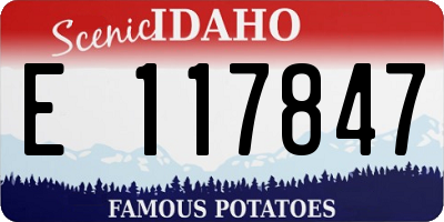 ID license plate E117847