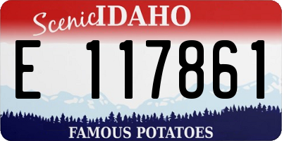 ID license plate E117861