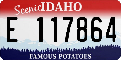 ID license plate E117864