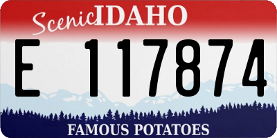 ID license plate E117874