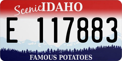 ID license plate E117883