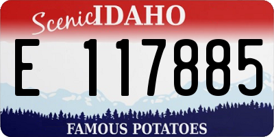 ID license plate E117885