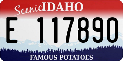 ID license plate E117890