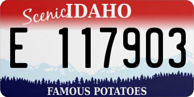 ID license plate E117903
