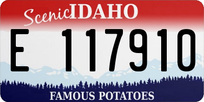 ID license plate E117910