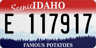 ID license plate E117917