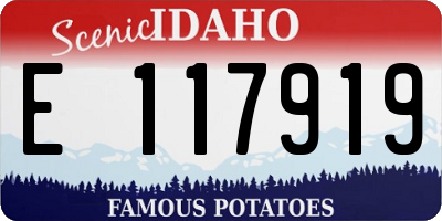 ID license plate E117919