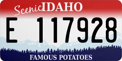 ID license plate E117928
