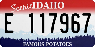 ID license plate E117967