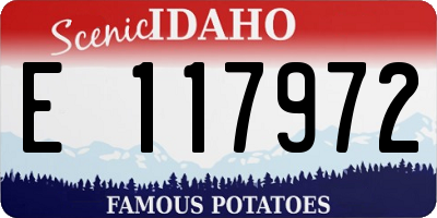 ID license plate E117972