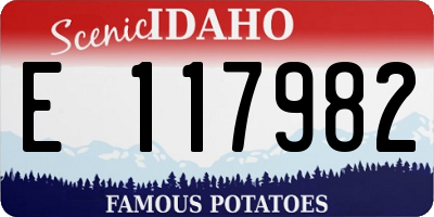 ID license plate E117982