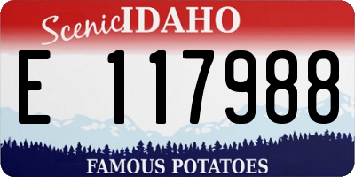 ID license plate E117988