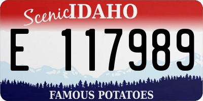 ID license plate E117989
