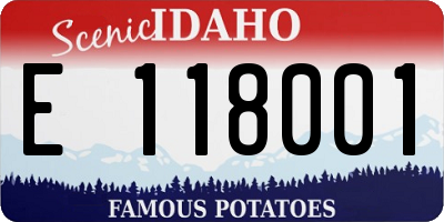 ID license plate E118001