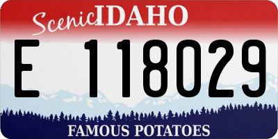 ID license plate E118029