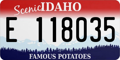 ID license plate E118035