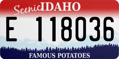 ID license plate E118036