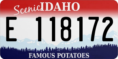 ID license plate E118172