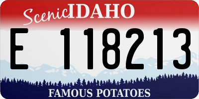 ID license plate E118213