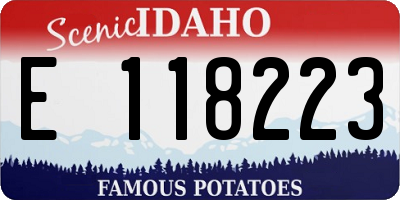 ID license plate E118223