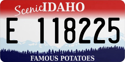 ID license plate E118225