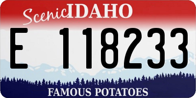 ID license plate E118233