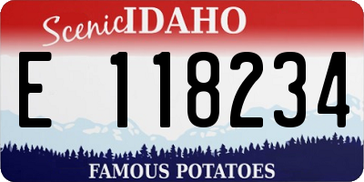 ID license plate E118234