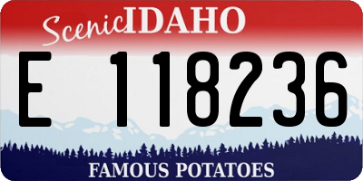 ID license plate E118236