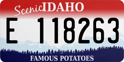 ID license plate E118263