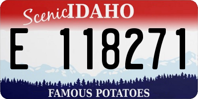 ID license plate E118271